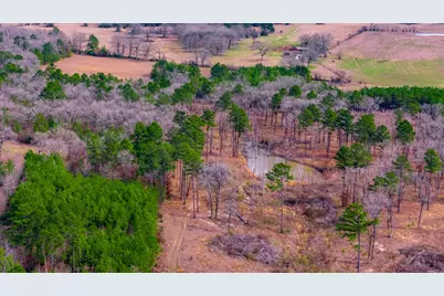 148 Private Road 8033, Crockett, TX 75835 - Photo 16