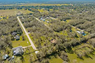 20302 Ramble Wood Drive, Brazoria, TX 77422 - Photo 4