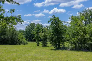 6798 Atakapan Trl, Bedias, TX 77831 - Photo 1