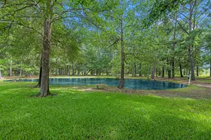 205 Mohawk Ln, Wallisville, TX 77597 - Photo 30