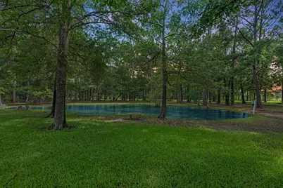 205 Mohawk Lane, Wallisville, TX 77597 - Photo 34