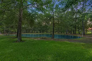 205 Mohawk Ln, Wallisville, TX 77597 - Photo 34