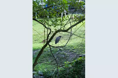 1901 W 14th 1/2 Street #C, Houston, TX 77008 - Photo 40