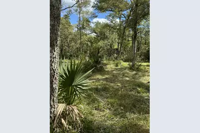 0 Private Road 648 Street, Cedar Lake, TX 77414 - Photo 6