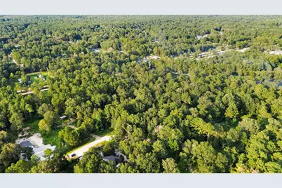 25973 Sussex, New Caney, TX 77357 - Photo 6