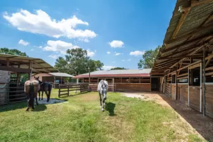 16410 Fm 1485 Rd, Conroe, TX 77306 - Photo 12