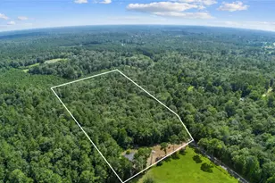 2631 Co Rd 443, Kirbyville, TX 75956 - Photo 1