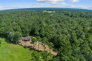 2631 Co Rd 443, Kirbyville, TX 75956 - Photo 24