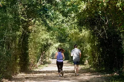 21203 Teal Lovegrass Lane, Cypress, TX 77433 - Photo 42