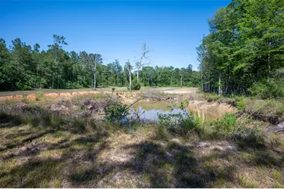 Tbd County Road 4472, Warren, TX 77664 - Photo 8