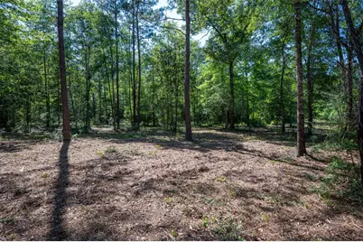 Tbd County Road 4472, Warren, TX 77664 - Photo 6