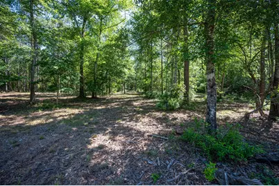 Tbd County Road 4472, Warren, TX 77664 - Photo 2