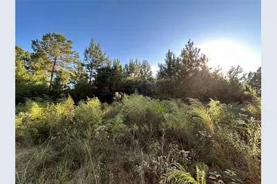 [Address not provided], Lovelady, TX 77854 - Photo 4