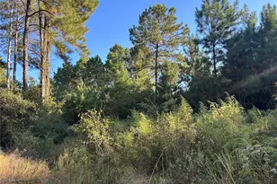 [Address not provided], Lovelady, TX 77854 - Photo 1