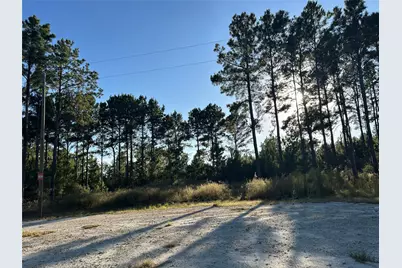 [Address not provided], Lovelady, TX 77854 - Photo 6