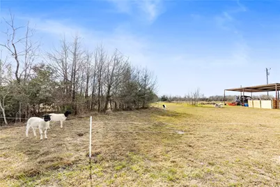 3484 Hackett Branch Road, Midway, TX 75852 - Photo 4