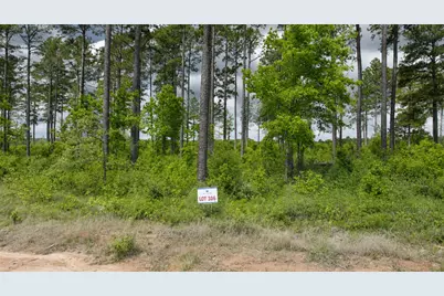 000 Timberline Dr, Hillister, TX 77624 - Photo 2