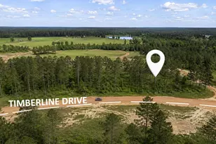 000 Timberline Dr, Hillister, TX 77624 - Photo 1