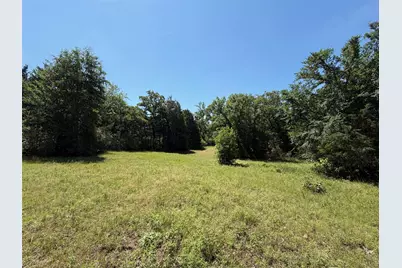 Tbd Highway 75 South, Buffalo, TX 75831 - Photo 12