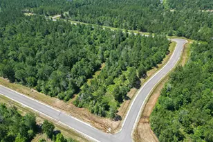 123 Gypsum Rd, Willis, TX 77378 - Photo 16