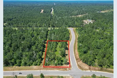 123 Gypsum Road, Willis, TX 77378 - Photo 1