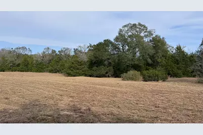 3674-3698 County Road 427, Marquez, TX 77865 - Photo 6