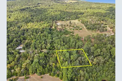 Tbd The Woods Rd Lot 46 Road, Coldspring, TX 77331 - Photo 2
