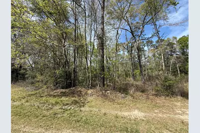 Tbd White Oak Drive, Conroe, TX 77306 - Photo 4