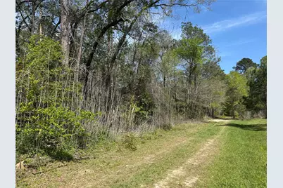 Tbd White Oak Drive, Conroe, TX 77306 - Photo 2