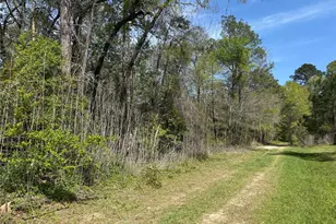 Tbd White Oak Dr, Conroe, TX 77306 - Photo 2