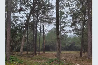 1017 County Road 3325, Colmesneil, TX 75938 - Photo 8