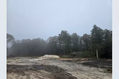 1017 County Road 3325, Colmesneil, TX 75938 - Photo 4