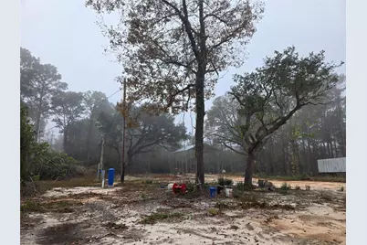 1017 County Road 3325, Colmesneil, TX 75938 - Photo 2