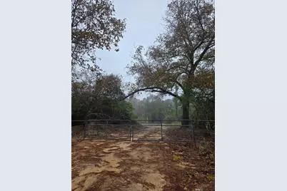 1017 County Road 3325, Colmesneil, TX 75938 - Photo 1