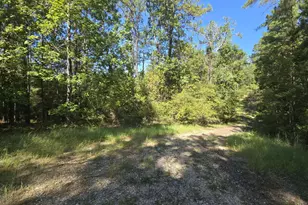 50 51 52 Burrow Ln, Brookeland, TX 75931 - Photo 4