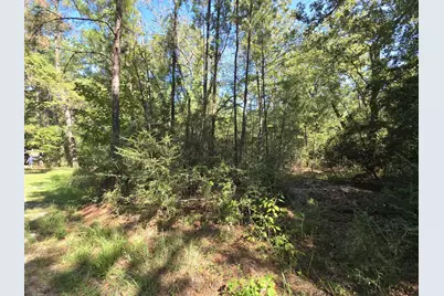 50, 51, 52 Burrow Lane, Brookeland, TX 75931 - Photo 6