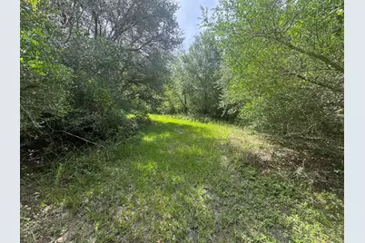 Tbd Dewberry Lane, Louise, TX 77455 - Photo 2