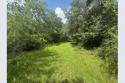 Tbd Dewberry Lane, Louise, TX 77455 - Photo 4
