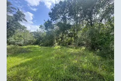 Tbd Dewberry Lane, Louise, TX 77455 - Photo 1