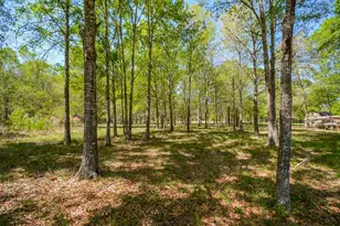 24897 Rainbow Ln, New Caney, TX 77357 - Photo 16