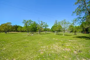 24897 Rainbow Ln, New Caney, TX 77357 - Photo 14