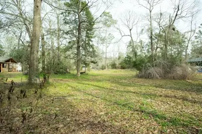 15050 Cardinal Trail, Conroe, TX 77302 - Photo 6