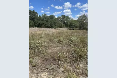 207 Charcoal Company Lane, Muldoon, TX 78949 - Photo 6
