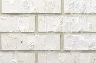 18607 Citrange Bnd Wy, Manvel, TX 77578 - Photo 2