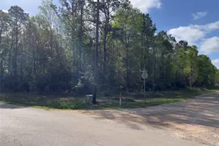 25468 Cambridge Blvd, New Caney, TX 77357 - Photo 4