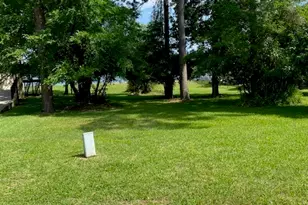 11823 Thoreau Dr, Montgomery, TX 77356 - Photo 16