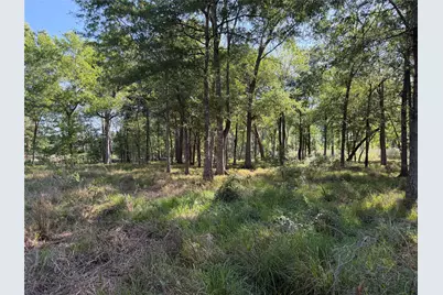 00 County Road 2195, Cleveland, TX 77327 - Photo 6