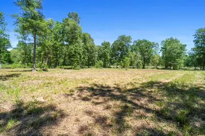 00 County Road 2195, Cleveland, TX 77327 - Photo 2