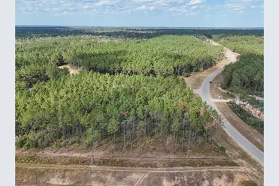 15531 Forest Grove Drive, Willis, TX 77378 - Photo 6