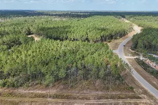 15531 Frst Grv Dr, Willis, TX 77378 - Photo 6